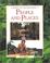 Cover of: People and Places (Secrets of the Rainforest)