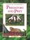 Cover of: Predators and Prey (Secrets of the Rainforest)