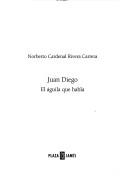 Juan Diego by Norberto Rivera Carrera