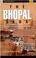 Cover of: The Bhopal saga