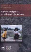 Cover of: Mujeres indígenas en el Estado de México: vidas conducidas desde sus instituciones sociales