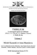 Cover of: Tsibilium by I︠U︡riĭ Nikolaevich Voronov