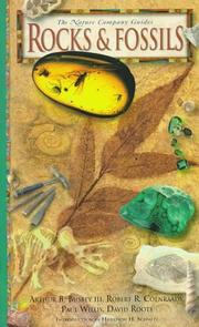 Cover of: Rocks & fossils by Arthur B. Busbey III ... [et al.] ; consultant editors, David Roots and Paul Willis.