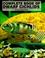 Cover of: Complete book of dwarf cichlids.