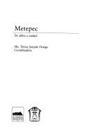 Cover of: Metepec: de aldea a ciudad