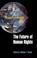 Cover of: The future of human rights