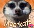 Cover of: Meerkats