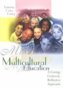 Cover of: Multicultural education and the Internet: intersections and integrations