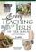 Cover of: Every Teaching Of Jesus In The Bible Everything In The Bible Series