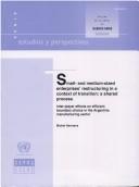 Cover of: Small- and medium-sized enterprises' restructuring in a context of transition: a shared process : inter-player effects on efficient boundary choice in the Argentine manufacturing sector