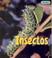 Cover of: Insectos.