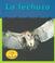 Cover of: LA Lechuza / Barn Owls