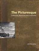 Cover of: The picturesque: architecture, disgust and other irregularities