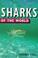 Cover of: Sharks of the world