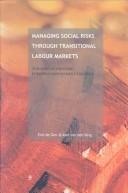 Managing social risks through transitional labour markets by H. G. de Gier