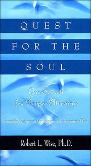 Cover of: Quest for the Soul: Our Search for Deeper Meaning