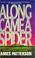 Cover of: Along Came a Spider (Alex Cross Novels)