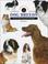 Cover of: Identifying Dog Breeds