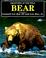 Cover of: Bear (Creatures of the Wild)