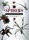 Cover of: Identifying Spiders