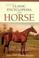 Cover of: Magner's Classic Encyclopedia Of The Horse