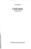 Cover of: Cesare, il grande giocatore