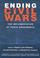 Cover of: Ending Civil Wars