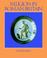 Cover of: Religion in Roman Britain