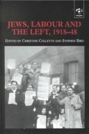 Jews, labour and the left, 1918-48 by Christine Collette, Stephen Bird