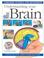 Cover of: Understanding your brain
