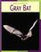 Cover of: Gray Bat (Road to Recovery)