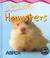 Cover of: A Pet's Life Hamsters (Heinemann First Library)