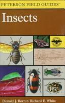 Cover of: A Field Guide to Insects America North of Mexico