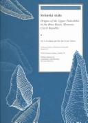 Cover of: Stránská skála: Origins of the Upper Paleolithic in the Brno Basin, Moravia, Czech Republic (American School of Prehistoric Research Bulletins)