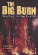 Cover of: big burn: the Northwest's great forest fires of 1910