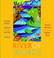 Cover of: River of words