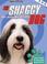 Cover of: Shaggy Dog, The (Junior Novelization)