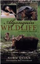 Algonquin wildlife by Norm Quinn