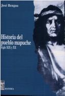 Cover of: Historia del pueblo mapuche by José Bengoa