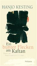 Cover of: Ein bunter Flecken am Kaftan: Essays zur deutsch-jüdischen Literatur