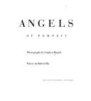 Cover of: Angels of Pompeii by Stephen Brigidi