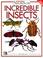 Cover of: Incredible insects