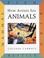 Cover of: How Artists See Animals 