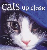 Cover of: Cats up close
