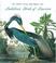 Cover of: Audubon's Birds Of America (The Audubon Society Baby Elephant Folio)