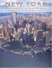 Cover of: New York (The Magnificent Great Cities)