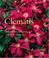 Cover of: Clematis