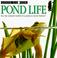 Cover of: Pond Life (Look Closer)