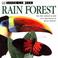 Cover of: Rain Forest (Look Closer)