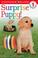 Cover of: Surprise Puppy